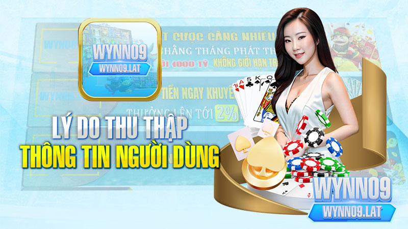 Lý do thu thập và sử dụng thông tin người dùng của WYNN09.